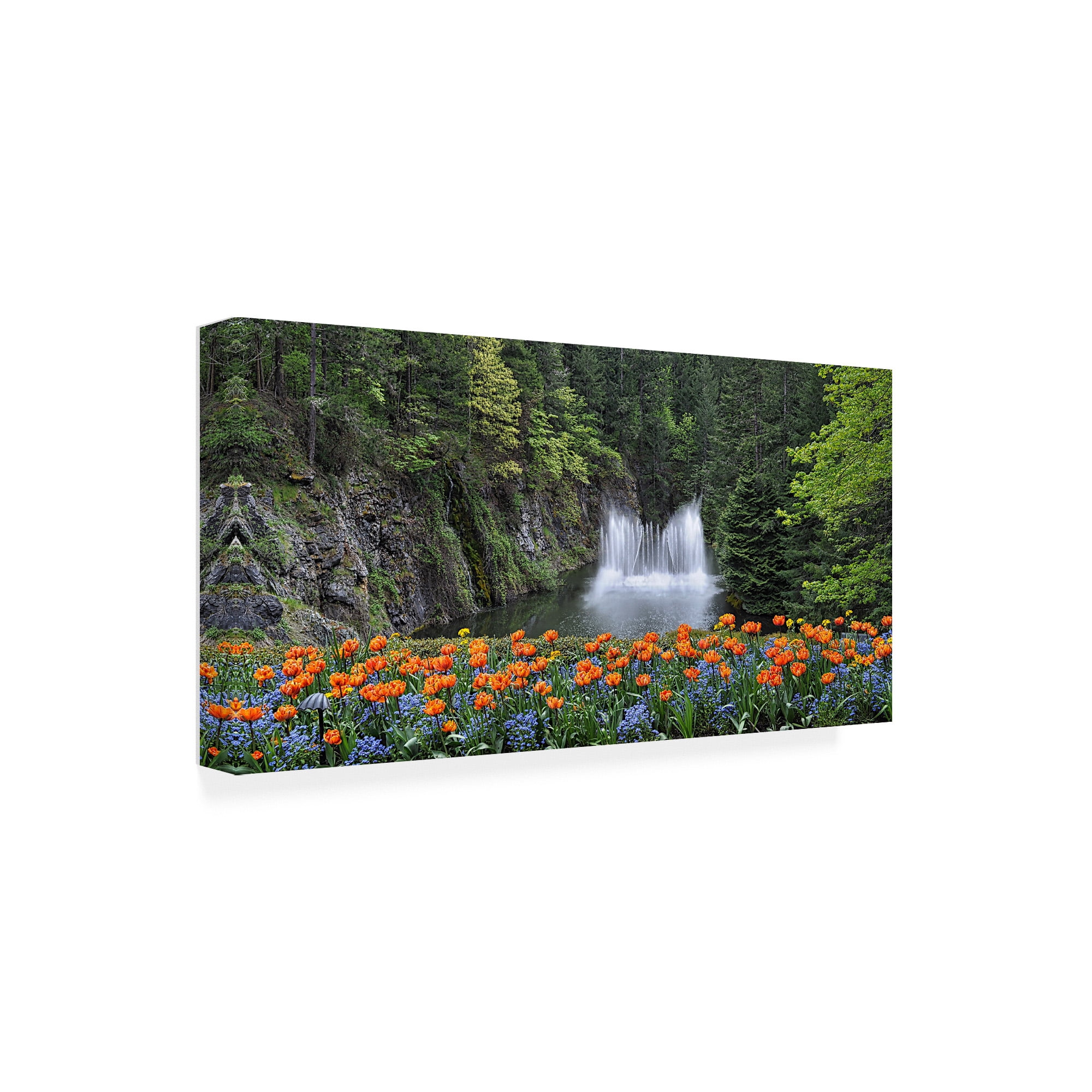 Trademark Fine Art 'Water Music Flowers' Canvas Art by Chuck Burdic