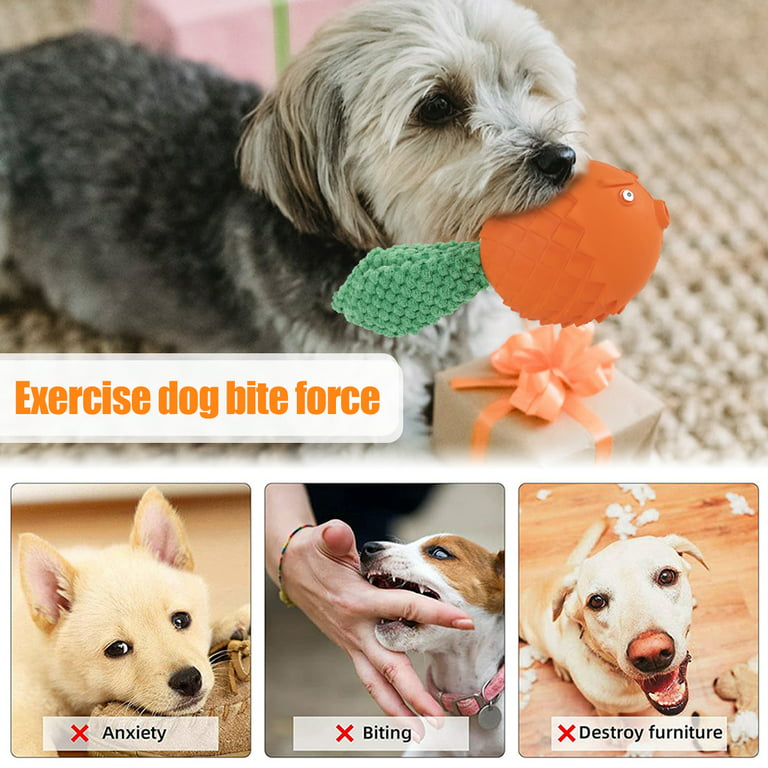 Rubber Puppy Teething Toys, Slipper-shaped Indestructible Dog Toys
