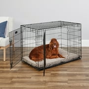 MidWest Homes for Pets 42-Inch Two-Door iCrate Folding Dog Crate with Divider Panel, Leak-Proof Tray & Secure Latches – Metal Wire Kennel for Large Breeds – Portable, Durable & Easy to Assemble
