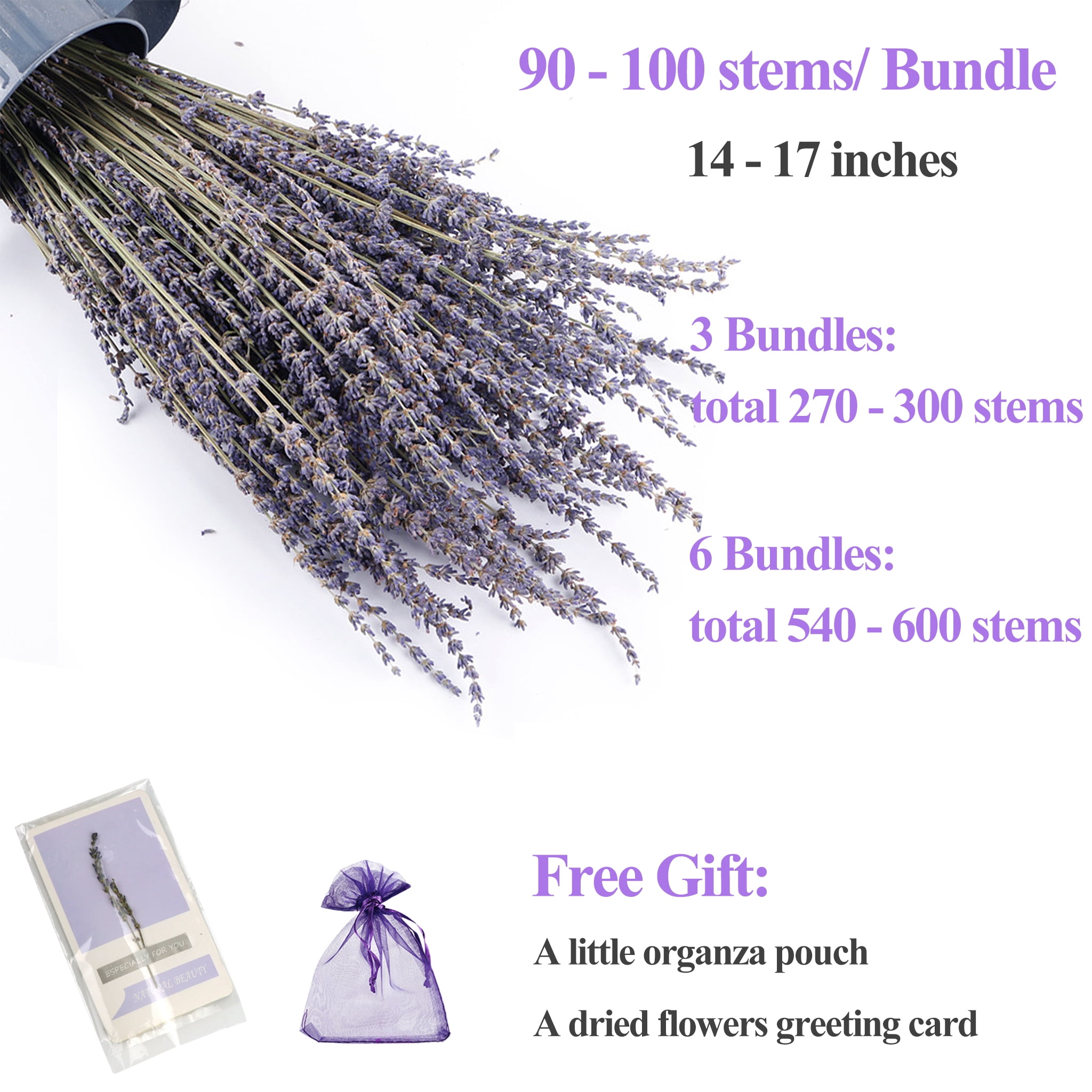 AMI PARTS Dried Lavender Bundles Dried Flowers Bouquet with Stems for Home Decor Wedding