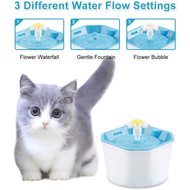 Kitten fountain top