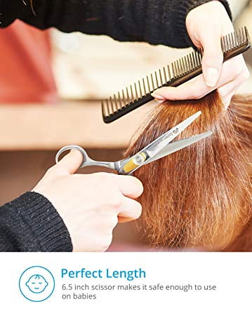 equinox international professional razor edge