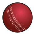 thumbnail image 1 of Beistle 53744 Découpes de Balle de Cricket de 10 Po, 1 of 1