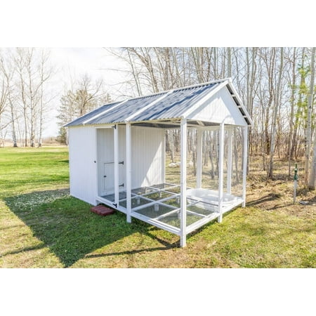 Zylina Modern Duck Barn - Duck Coop
