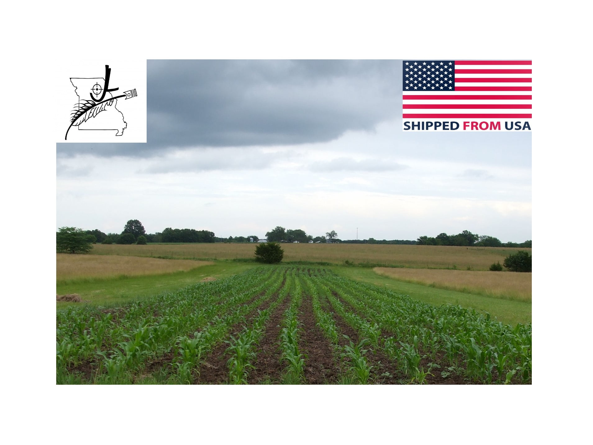 2 LB Pound Reid's Yellow Dent Field Corn Open Pollinated Non GMO Reids