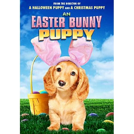 An Easter Bunny Puppy