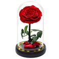 thumbnail image 1 of Rosa eterna en campana, hermosa rosa y cristal con luces LED, base de pino para el día de San Valentín, fiesta de cumpleaños, boda, día de la madre, regalos creativos kaili Sencillez, 1 of 5