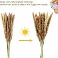 thumbnail image 6 of Aosijia 21 Pcs Pampas Grass Boho Home Decor Dried Plants with Fluffy Reed Pampas Eucalyptus Bunny Tail Wheat and Valentines Gras, 6 of 6