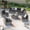 Gray Rattan - Black, variant on BaPiPro 7‑Piece Modular Outdoor Patio Furniture Set, Brown Wicker Sectional Sofa with Thickened Dark Gray Cushions & Coffee Table, All‑Weather for Backyard, Porch, Deck & Balcony