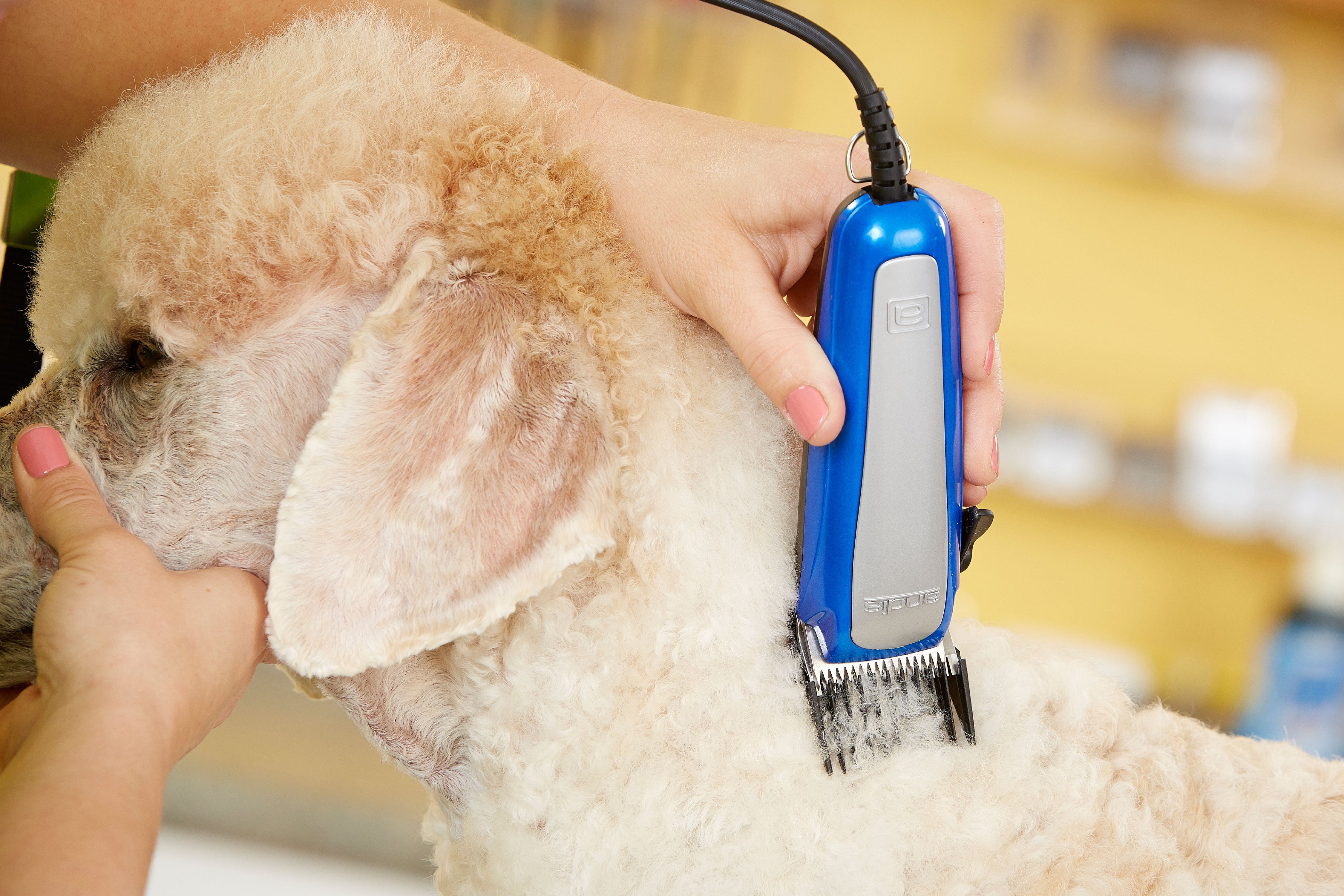 andis easy clip ultra