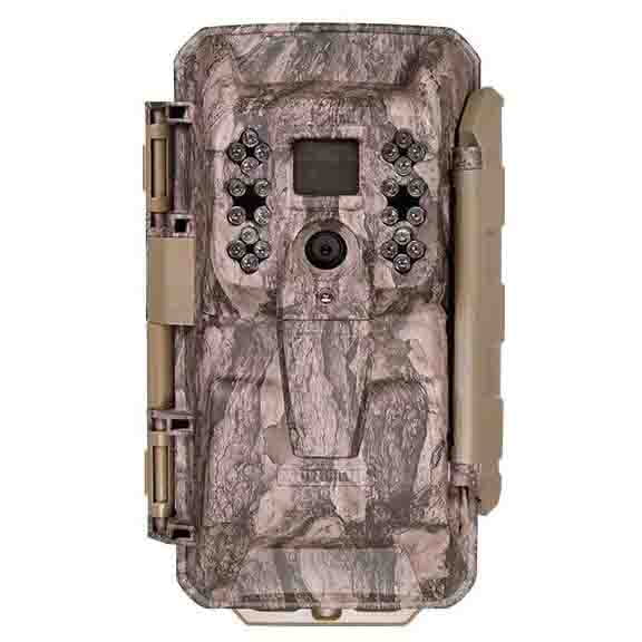 cellular game