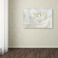 thumbnail image 3 of Trademark Fine Art Cora Niele Pure White Rose Canvas Wall Art - 16x24, 3 of 3