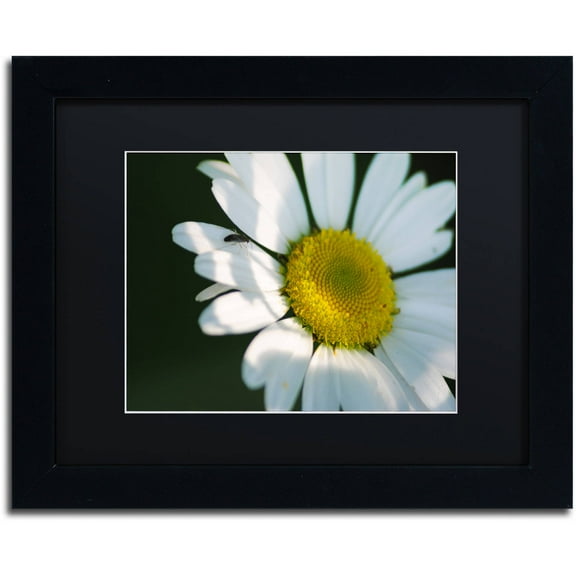 Trademark Fine Art "Hidden in Shadows" Canvas Art by Monica Mize, Black Matte, Black Frame