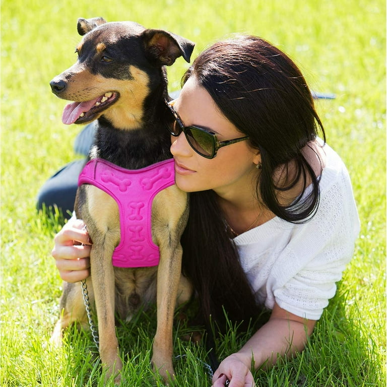 Metric USA Comfort fit Dog Harness Easy to Put on Comfortable Adjustable Step in Soft Padded Dog Vest Harnesses for Small and Medium Dogs Under 30 lbs Pink S Chest 16 18 Walmart