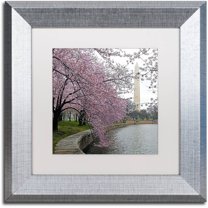 Trademark Fine Art "Washington Blossoms" Canvas Art by CATeyes, White Matte, Silver Frame