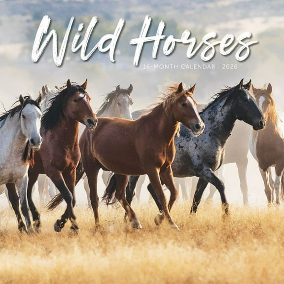 Carousel Calendars, Wild Horses 2026 Wall Calendar