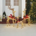 thumbnail image 2 of Holiday Time 3-Piece Lighted Glittering Thread Deer Family Outdoor Decor, with 210 Warm White LED Lights, 2 of 4