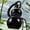 Black, variant on Drinking Gourd 800 ML Heat-Resistant Water Gourd with Lanyard Portable Unisex Gourd Water Bottle Sealed and Leak-Proof for Offices