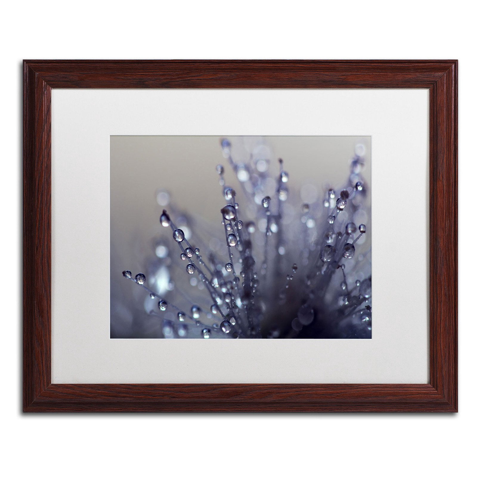 Trademark Fine Art "Evening Jewels" Canvas Art by Beata Czyzowska Young, Black Matte, Black Frame