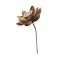 thumbnail image 1 of Flores secas para jarrón, arreglo floral, accesorio de fotografía rústico DIY para dormitorio Estilo C, 1 of 9