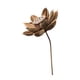 thumbnail image 1 of Ramo de flores secas Strade Fareast Limited decoración del hogar Estilo C, 1 of 8