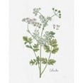 thumbnail image 3 of Schlabach, Sue 15x18 Black Modern Framed Museum Art Print Titled - Cottage Herbs III Linen, 3 of 5