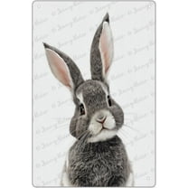 Funny Tin Sign Rabbit Woodland Nursery Decor, Baby Room Decor Animal Pictures for Nursery, Woodland Decor, Baby Wall Decor, Nursery Wall Art for Boys and Girls 12x8 inches