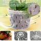 thumbnail image 4 of Macetas de Orquidea, Paquete De 5 Macetas de Vivero de Plástico Transparente para Kit de Orquídeas con Agujeros y Platillos, para Interiores Y Exteriores Plantas Flores, 4 of 4