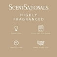 thumbnail image 3 of Vanilla Velvet Scented Wax Melts, Scentsationals, 2.5 oz, 3 of 4
