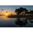 thumbnail image 2 of Jones, Adam 18x13 White Modern Wood Framed Museum Art Print Titled - Sable palms silhouetted at sunrise on the Econlockhatchee River, 2 of 4