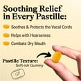 thumbnail image 3 of GRETHER'S Sugarfree Elderflower Pastilles – Premium Swiss Throat Lozenges for Dry Mouth & Throat Comfort – Intense Fruit Flavor – Gluten & Lactose Free – Gift for Singers – 2.1 oz, 3 of 10