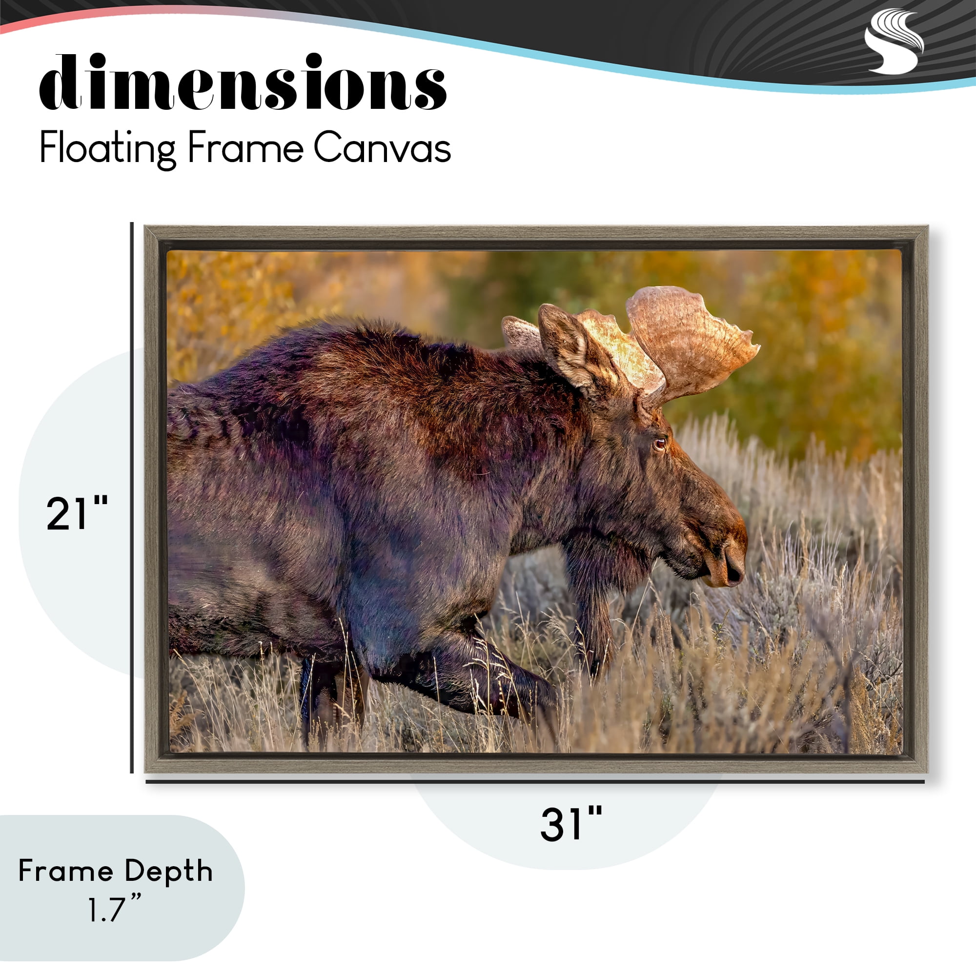 Stupell Industries Bull Moose At Dusk Brown Framed Floater Canvas Wall Art, design by Shelley Carlisle