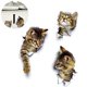 thumbnail image 3 of Pegatinas de pared de gato 3D, 3 unidades de pegatinas de pared, pegatinas de pared de combinación, pegatinas de baño, pegatinas impermeables para nevera, pegatinas de puerta, decoración de pared de c Afortunado Sencillez, 3 of 5