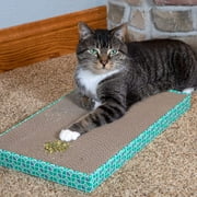 Kitty City Natural Ground Catnip with Silvervine, Premium Blend for Cat Play and Training