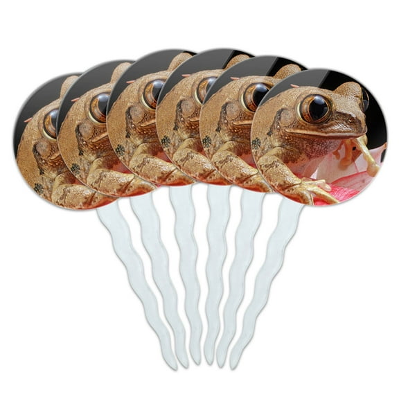 Marbled Reed Frog Cupcake Picks Toppers - Set of 6