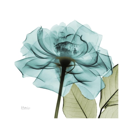 Art.com Teal Rose Green Art Print by Albert Koetsier, 16" x 16"