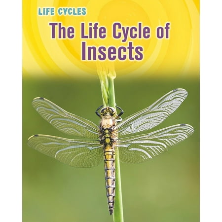 Life Cycles (Heinemann Paperback): The Life Cycle of Insects (Paperback)