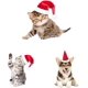 thumbnail image 5 of Disfraz de navidad para perro gato, prenda de navidad para decoración de mascotas Afortunado Sencillez, 5 of 5