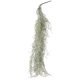 thumbnail image 1 of ColoMX Bonsái de musgo seco, musgo decorativo para paisajismo, decoración de musgo de liquen seco para colgar, 1 of 8