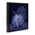 thumbnail image 3 of Stupell Industries Contemporary Dark Sea Urchin Black Floating Frame Canvas Art, 25 x 25, by Paul Brent, 3 of 8