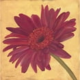 thumbnail image 3 of Marrott, Stephanie 20x20 Black Modern Framed Museum Art Print Titled - Gerber III, 3 of 5