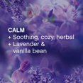 thumbnail image 5 of Downy Infusions in-Wash Scent Booster Beads, Calm, Lavender & Vanilla Bean, 10 Ounce, 4 Count, 5 of 10