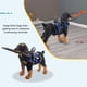 thumbnail image 3 of Parachoques Para Perros Ciegos, Dispositivo De Guía Para Perros Ciegos De Seguridad Arnés Para Perros Ciegos Accesorios Para Perros Ciegos Dispositivo De Arnés Para Perros, 3 of 7