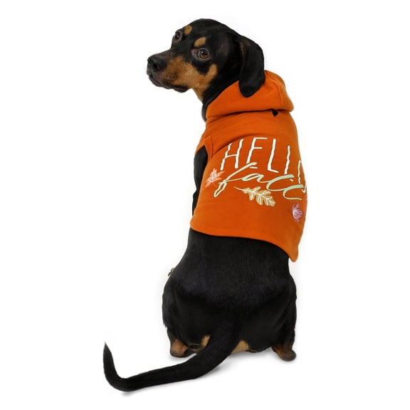 Vibrant Life Halloween Hoodie for Dogs & Cats, Hello Fall, Orange, Small