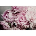 thumbnail image 3 of Urquhart, Elizabeth 24x17 Black Modern Framed Museum Art Print Titled - Peonies Galore II, 3 of 5