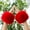 Red, variant on Women's Faux Fur Wrist Cuffs Winter Furry Wristbands Fluffy Fur Cuff Bracelets Arm Warmers