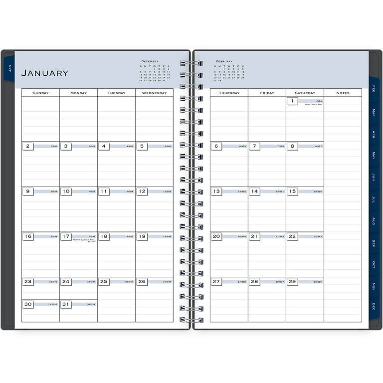 Blue Sky Joselyn Weekly/Monthly Planner - BLS110394