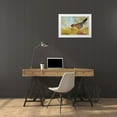 thumbnail image 3 of Archer, Ken 18x13 White Modern Wood Framed Museum Art Print Titled - Greater roadrunner, 3 of 4