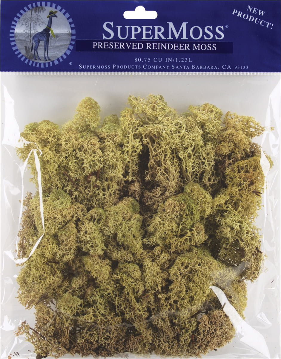 Pack of 2 Spring Green Quality Growers QG2060 Preserved Reindeer Moss 108.5 Cubic Inch