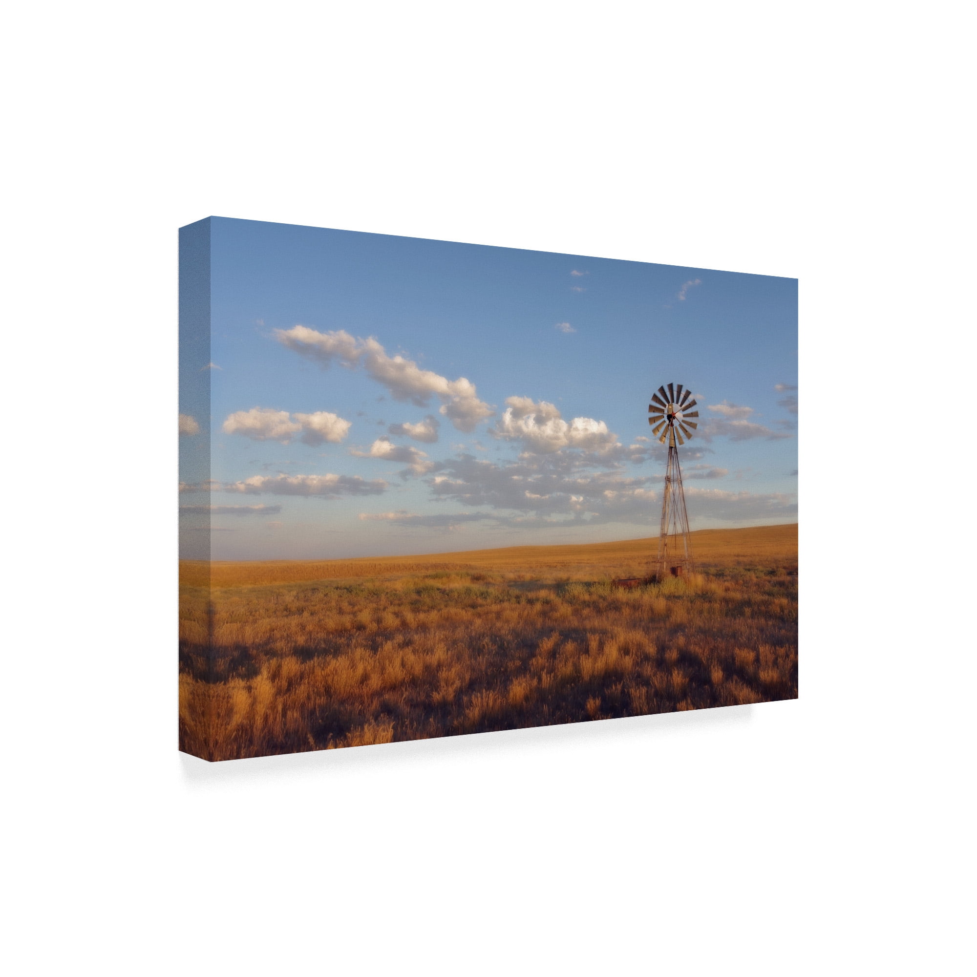 Trademark Fine Art 'South Leunberger' Canvas Art by Amanda Smith